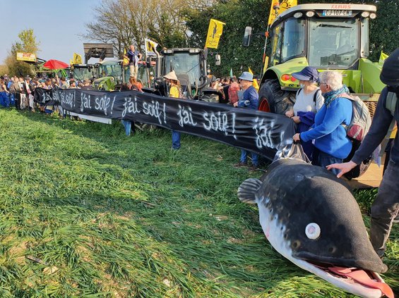 276231188_341848647965807_2747625222579024425_n