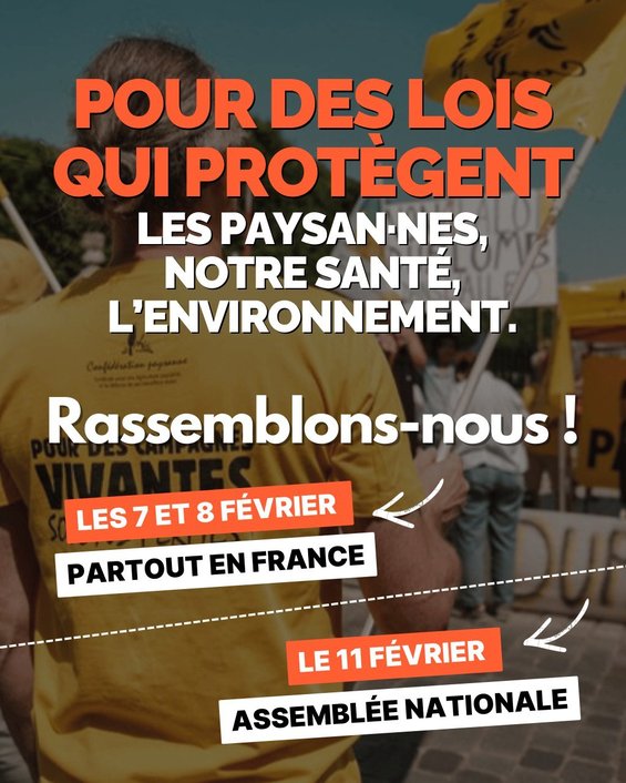 Pesticides février 2026